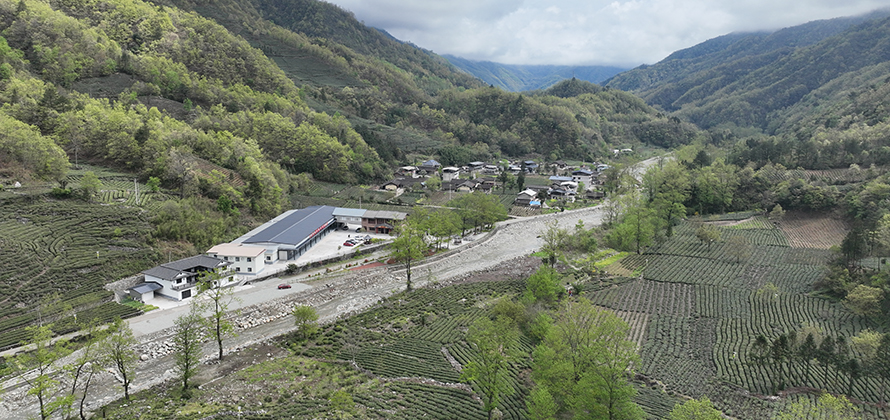 香港全年最全免费资料大全