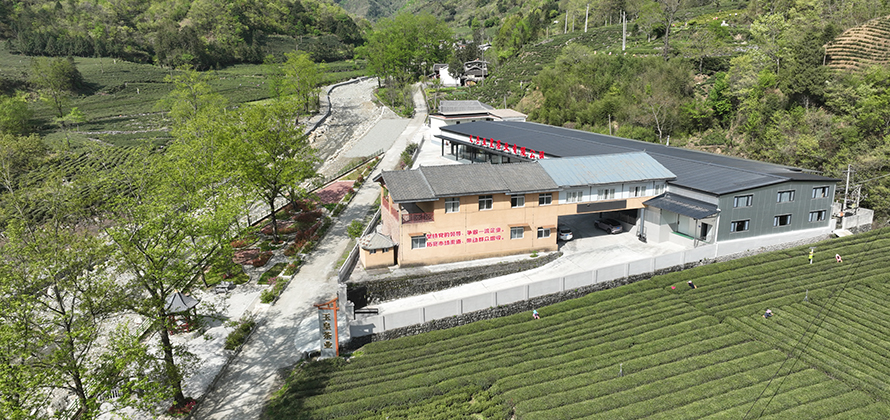 香港全年最全免费资料大全