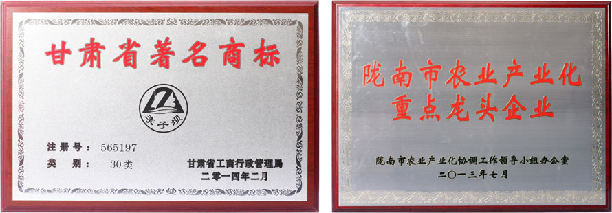 香港全年最全免费资料大全