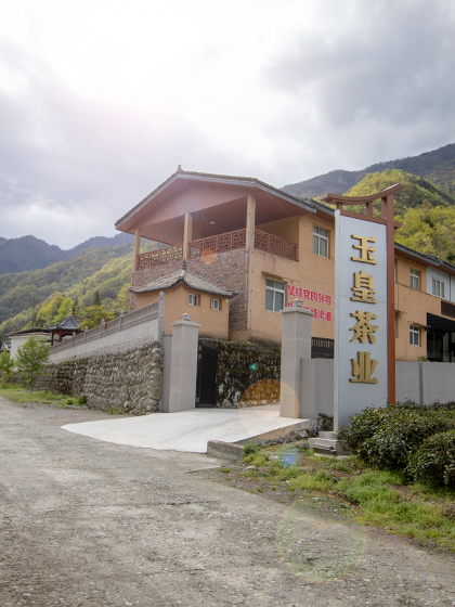 香港全年最全免费资料大全