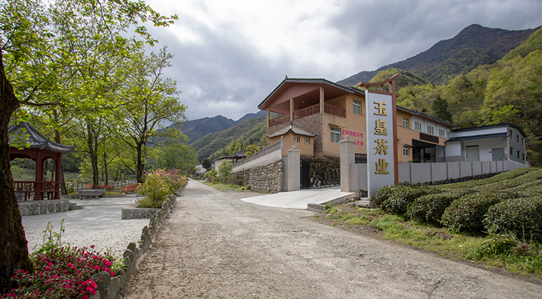 香港全年最全免费资料大全