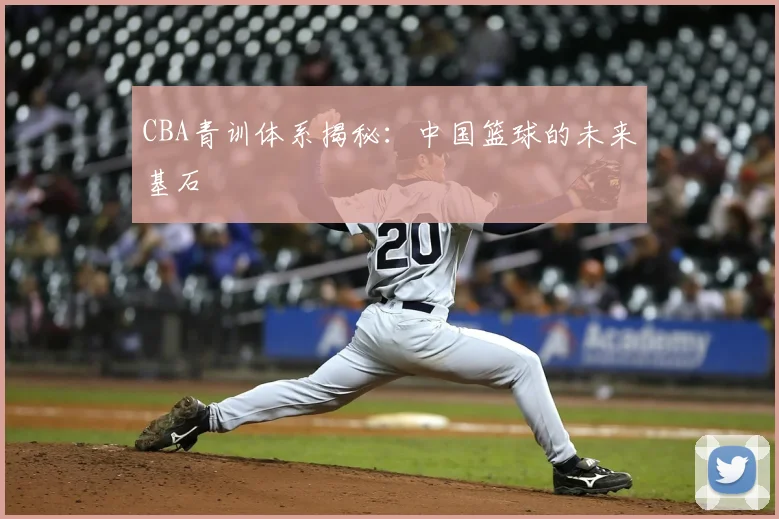 CBA青训体系揭秘：中国篮球的未来基石
