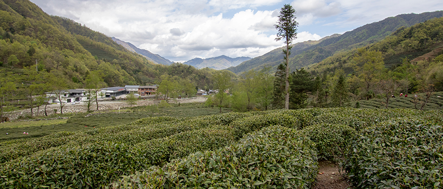 香港全年最全免费资料大全