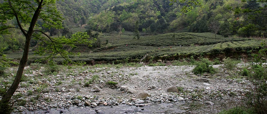香港全年最全免费资料大全