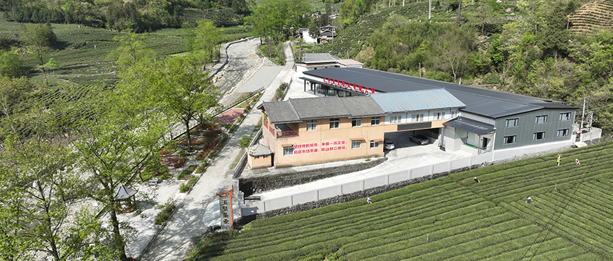 香港全年最全免费资料大全