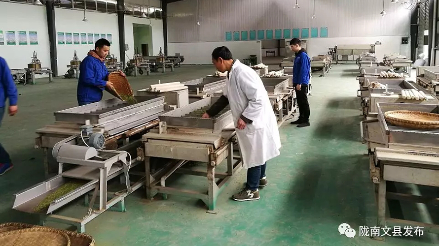 香港全年最全免费资料大全