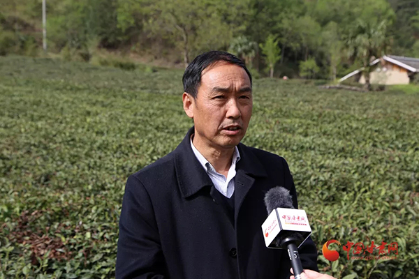 香港全年最全免费资料大全