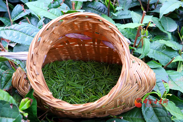 香港全年最全免费资料大全