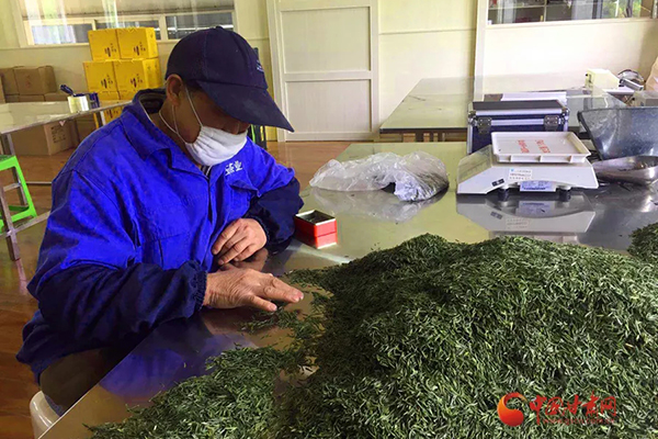 香港全年最全免费资料大全