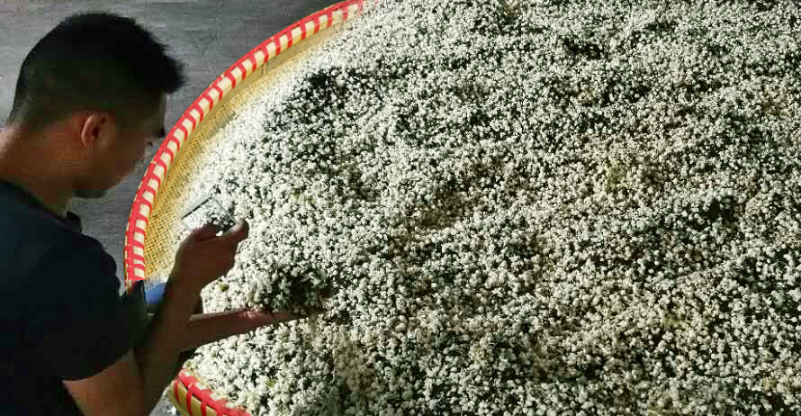 香港全年最全免费资料大全