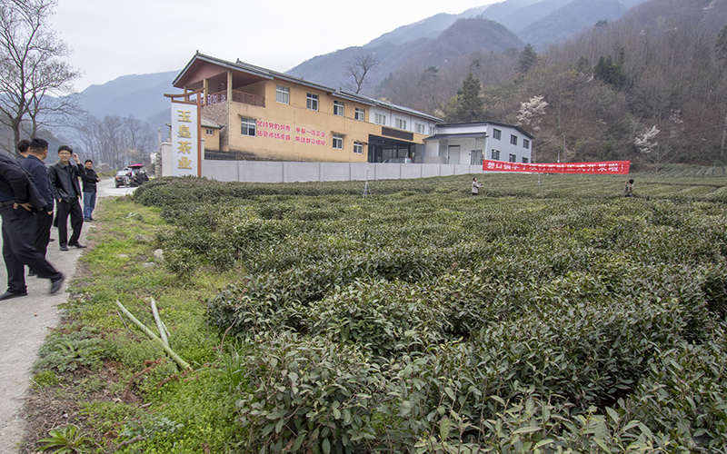 香港全年最全免费资料大全
