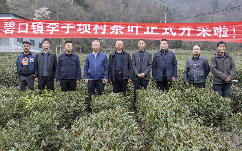 香港全年最全免费资料大全