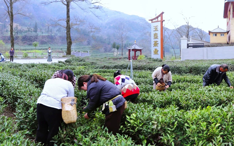 香港全年最全免费资料大全