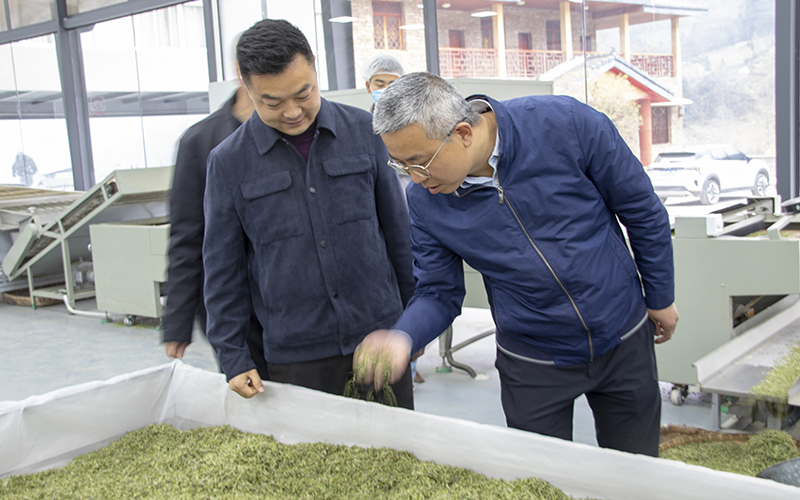 香港全年最全免费资料大全