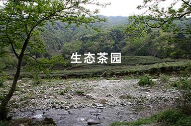 香港全年最全免费资料大全