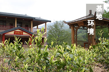 香港全年最全免费资料大全