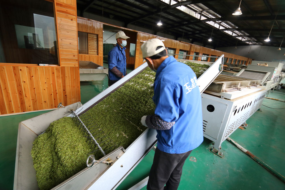 香港全年最全免费资料大全