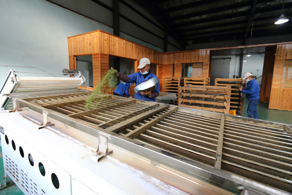 香港全年最全免费资料大全