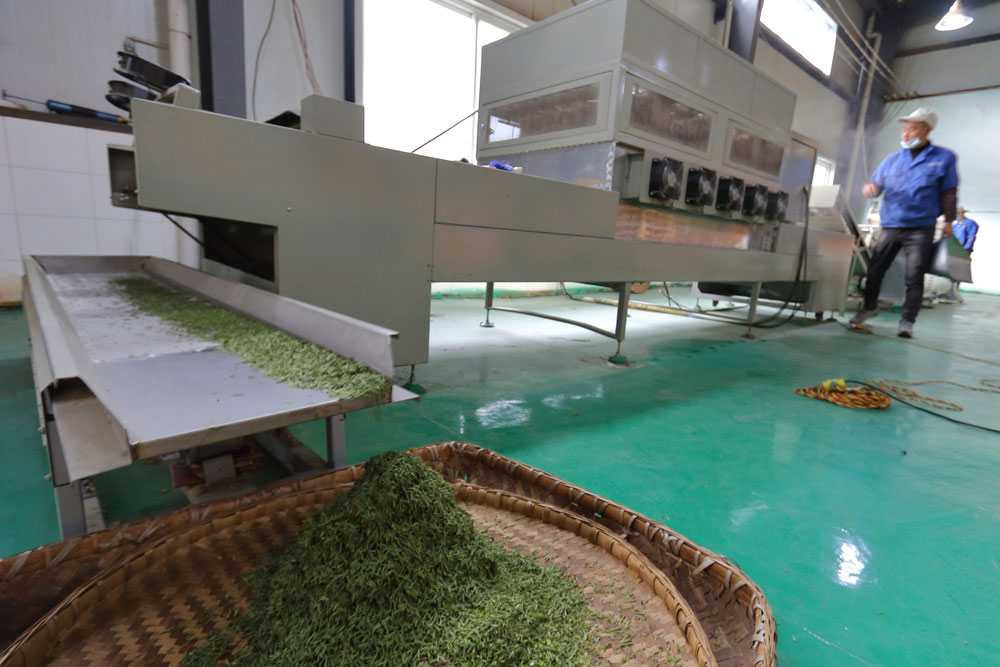 香港全年最全免费资料大全